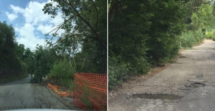 Strade “giungla” a Dinami, il Comitato civico si rivolge a Mattarella