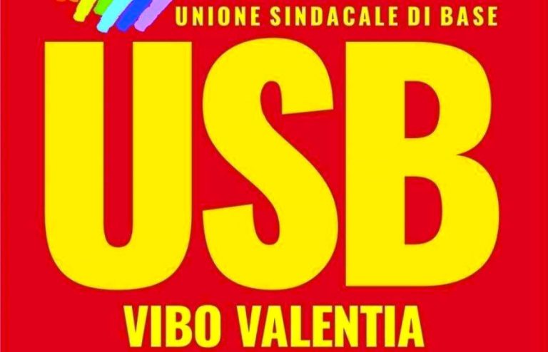 Tirocinanti, da Vibo parte la mobilitazione: «Chiediamo la stabilizzazione»