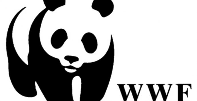 Il vibonese Angelo Calzone delegato regionale del Wwf Calabria