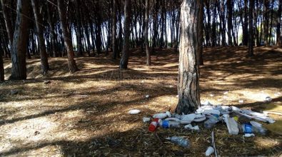 Ferragosto in pineta, siamo alle solite: quella di Pizzo ora è una discarica – Video