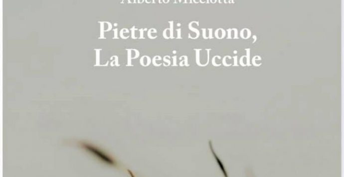 “Pietre di suono”, su Eppela il nuovo libro di Alberto Micelotta