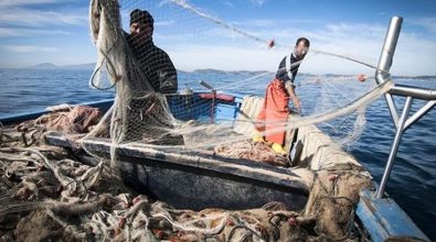 Piccola pesca, arriva il bonus da 950 euro