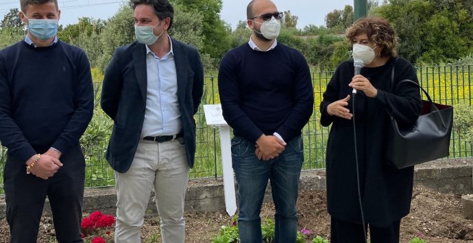 Nel cortile della scuola di Bivona 3 alberi di ulivo per ricordare le vittime del Covid