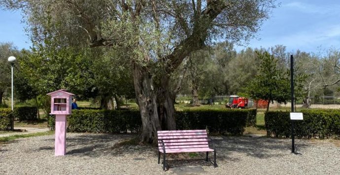 Vibo Valentia, al Parco urbano torna la mini biblioteca rosa