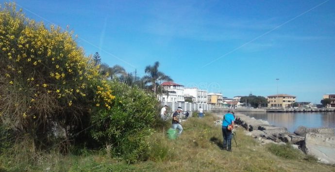 Vibo Marina, volontari in azione per pulire il lungomare Colombo