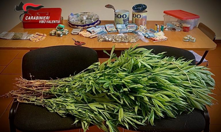 Marijuana e 5mila euro nascosti in campagna, un arresto nel Vibonese