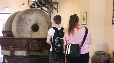 Ricadi, il Comune cerca tre volontari per la promozione del museo