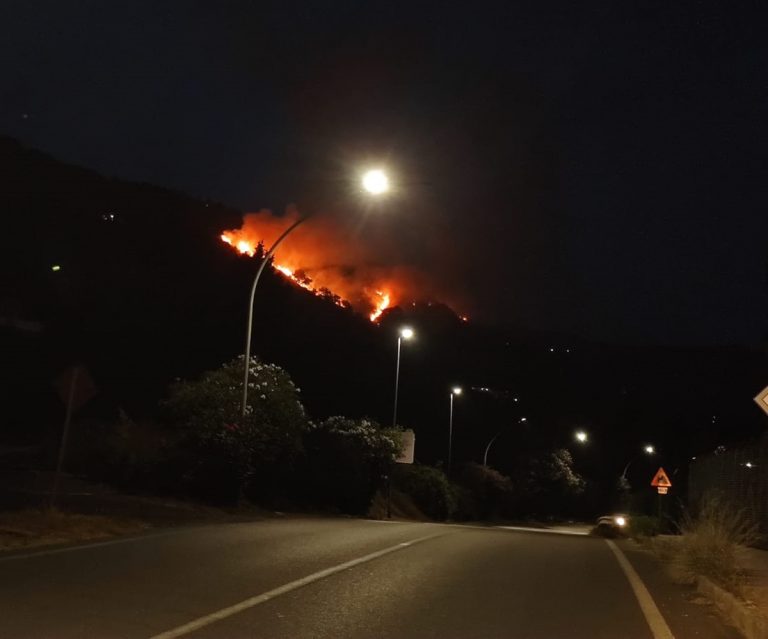 Incendio sulla collina tra Maierato e Pizzo, la condanna del sindaco Limardo