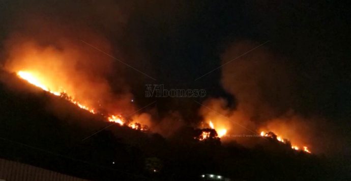 In fiamme la collina fra Pizzo e Maierato, 5  famiglie hanno lasciato le abitazioni