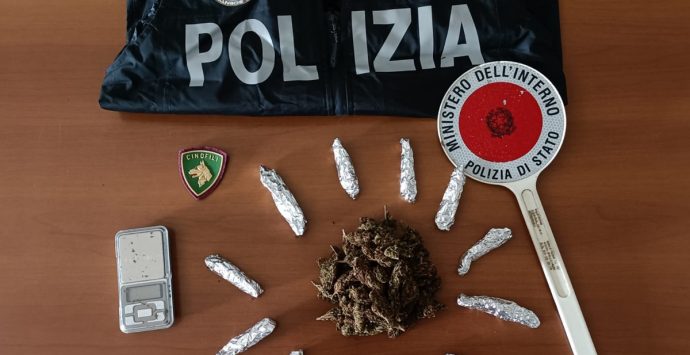 Vibonese, trovata marijuana in una intercapedine: denunciato 34enne