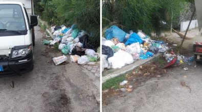 Rifiuti gettati in spiaggia a Briatico, il sindaco Vallone: «Ogni giorno una lotta contro incivili»