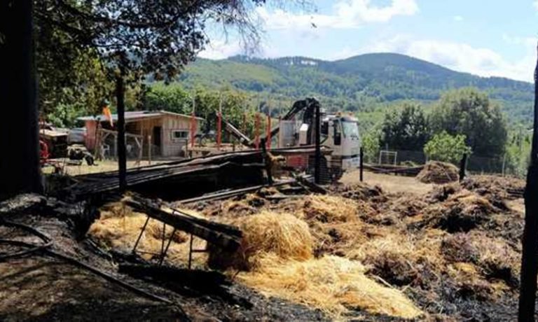 Incendio distrugge azienda agricola a Vallelonga