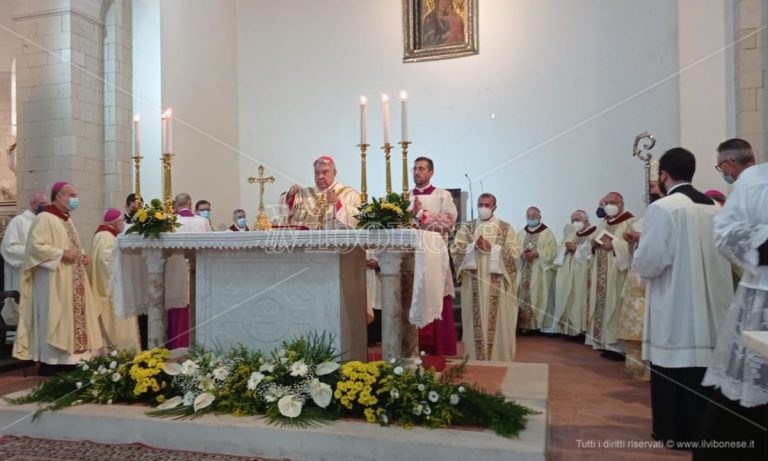 Don Francesco Mottola proclamato beato, la chiesa calabrese in festa – Video