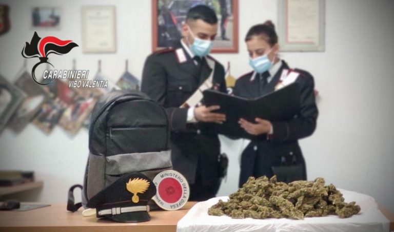 Marijuana pronta per essere spacciata: un arresto a Parghelia