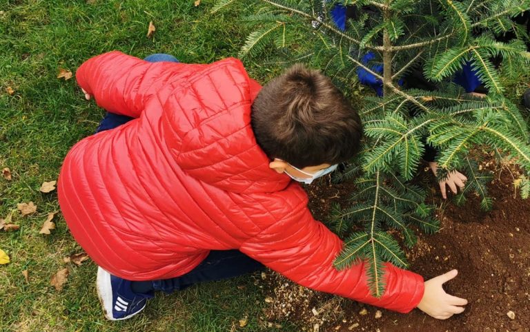 Festa degli alberi a Serra: davanti alla Certosa la piantumazione con i bambini