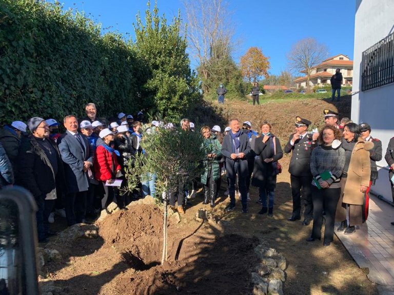 A Ionadi piantato l’albero di ulivo in memoria di Francesco Prestia Lamberti