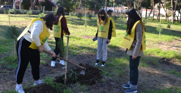 Tropea, la pineta strappata al degrado rinasce grazie agli studenti