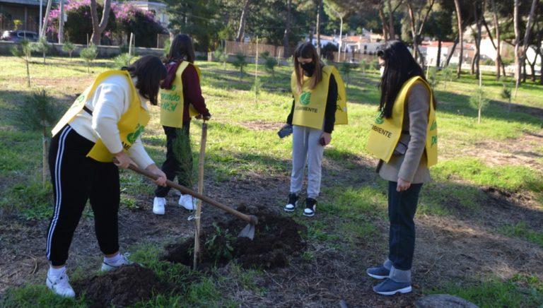 Tropea, la pineta strappata al degrado rinasce grazie agli studenti