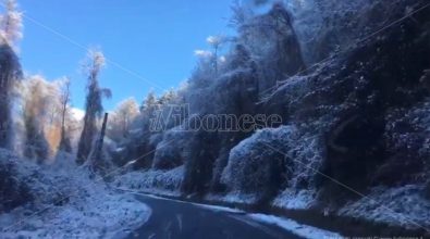 Neve sulle Serre vibonesi: bianco risveglio anche a bassa quota – Video