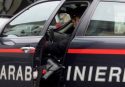 Droga e munizioni sequestrate dai carabinieri nel corso di controlli nel Vibonese