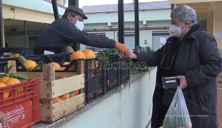 Vibo, aumentano i costi e la crisi colpisce tutti: al mercato tra rinunce e bollette da pagare – Video