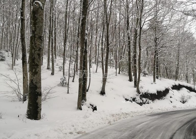 Neve nelle Serre, paesaggi da fiaba su Monte Pecoraro e scuole chiuse in tre paesi