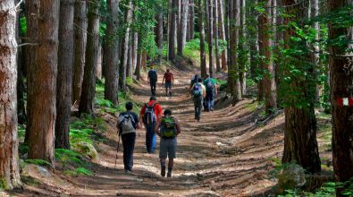 Dall’Aspromonte alle Serre, per il Sentiero del brigante arriva la tutela del Ministero