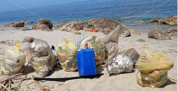 Santa Domenica, la spiaggia della Scalea ripulita da 80 chili di plastica dai volontari di Plastic free