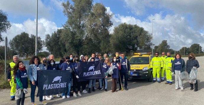 Vibo, Plastic free e studenti ripuliscono un tratto della statale 18