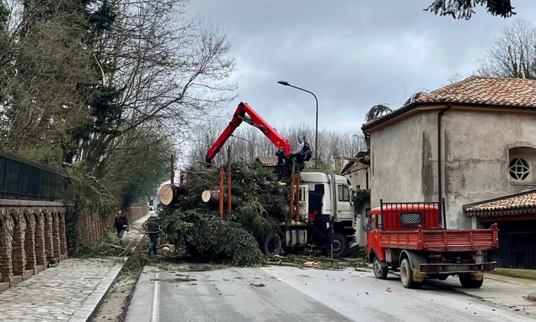 Serra San Bruno, strada chiusa a causa della caduta di un albero