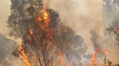 Parghelia, sull’app del Comune arriva il servizio antincendio boschivo