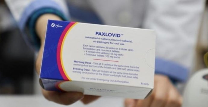 Paxlovid, da oggi in Calabria la pillola anti Covid potrà essere prescritta dai medici di base