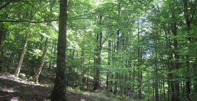 Serra, “Terre Bruniane” organizza un’escursione alla scoperta della Ferdinandea