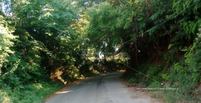 Mileto-Dinami,  automobilisti fanno i conti con il degrado della strada provinciale