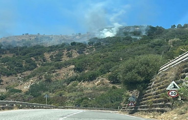 Strada del Mare: criminali in azione con incendi mentre c’è chi pensa a riasfaltare alla meno peggio