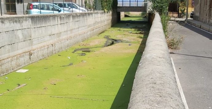 Vibo Marina, Russo perentorio con il M5S: «Il torrente Antonucci? Problema affrontato subito»