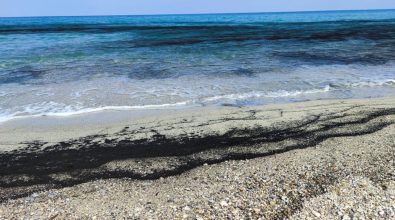 Inquietanti macchie nere  in mare a Vibo Marina, il biologo Greco: «Provocate dagli incendi» -Video