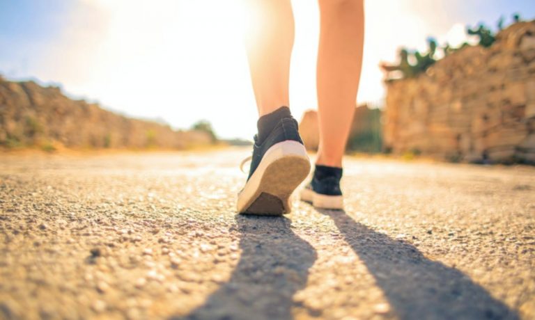 Turisti sotto il sole rovente di Pizzo in attesa del bus, Paolillo (Wwf): «Servono alberi»