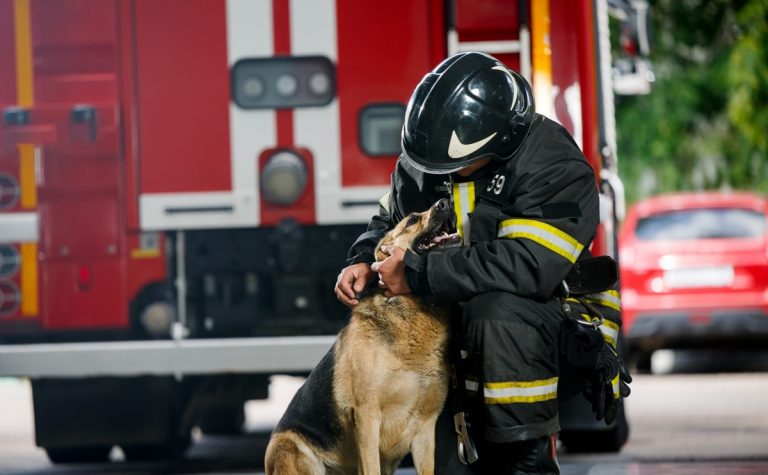 Settimana della Protezione civile, i Vigili del fuoco di Vibo aprono le porte ai cittadini e agli studenti