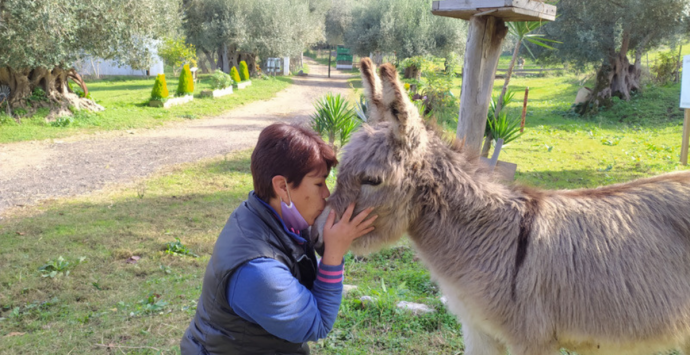 La Pet therapy per favorire i percorsi riabilitativi: a Vibo l’incontro nazionale