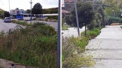 Erbacce e degrado al Terminal bus, i cittadini: «Vibo merita di più»