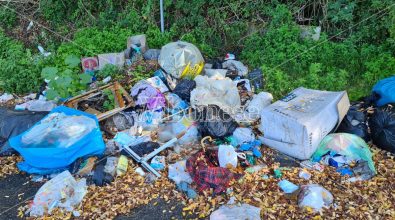 Discarica Vibo-Triparni, il Comune accusa la Provincia che tace. E a rimetterci sono ambiente e decoro