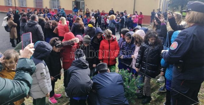 Vibo: gli alunni della scuola Buccarelli celebrano la festa dell’albero