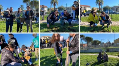 Un albero per ogni nuovo nato, a Briatico l’evento green con gli studenti