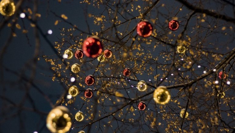 A Pizzo un albero di Natale realizzato con materiale riciclato