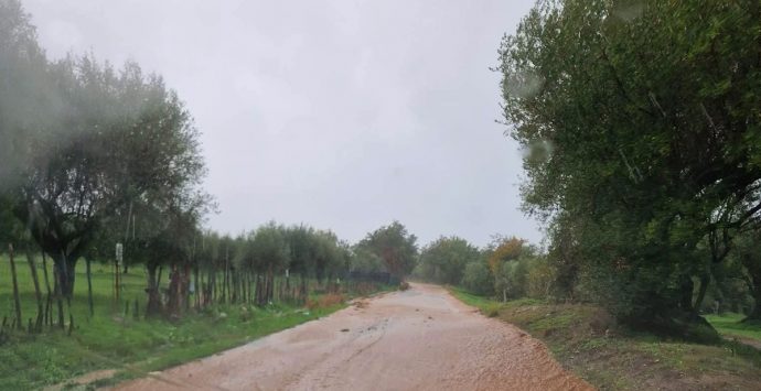 Strade per Zambrone da rifare: tre consiglieri “interrogano” il presidente della Provincia