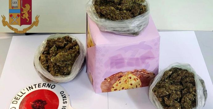 Nascondeva marijuana nel panettone, un arresto a Vibo