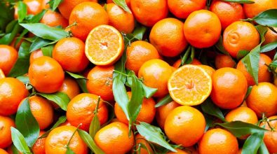 Le Clementine di Calabria Igp protagoniste alla fiera internazionale di Berlino