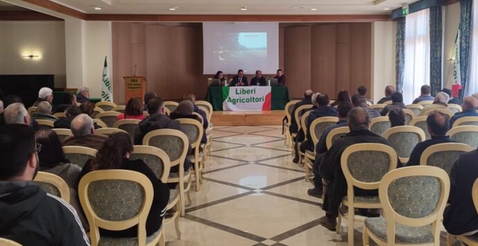 Vibo, riforma Pac: seminario organizzato da Anpa – Liberi Agricoltori Calabria