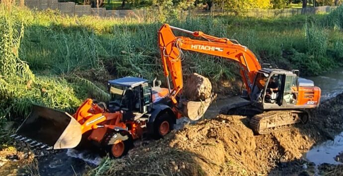 “Taglio” di forestali a Fabrizia e Nardodipace? La risposta di Calabria Verde ai sindaci